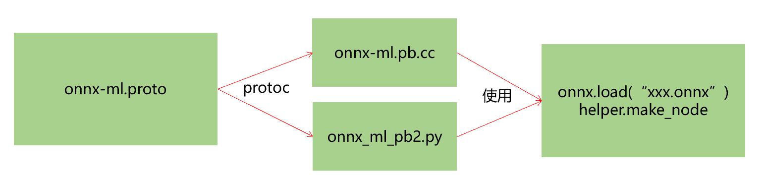 onnx-proto